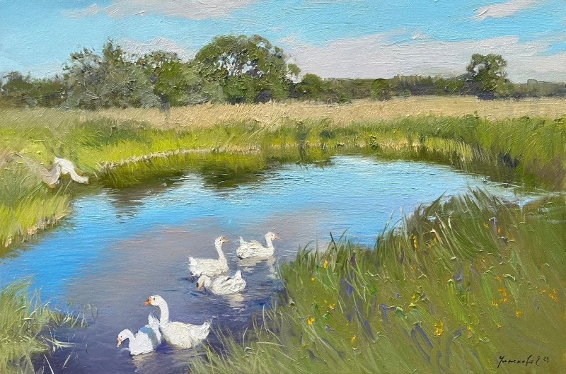 Гуси на озере.jpg