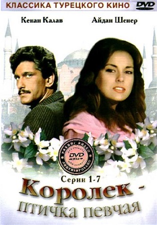 Королёк – птичка певчая / Çalıkuşu [1-7 серии из 7] (1986) DVDRip-AVC | P2