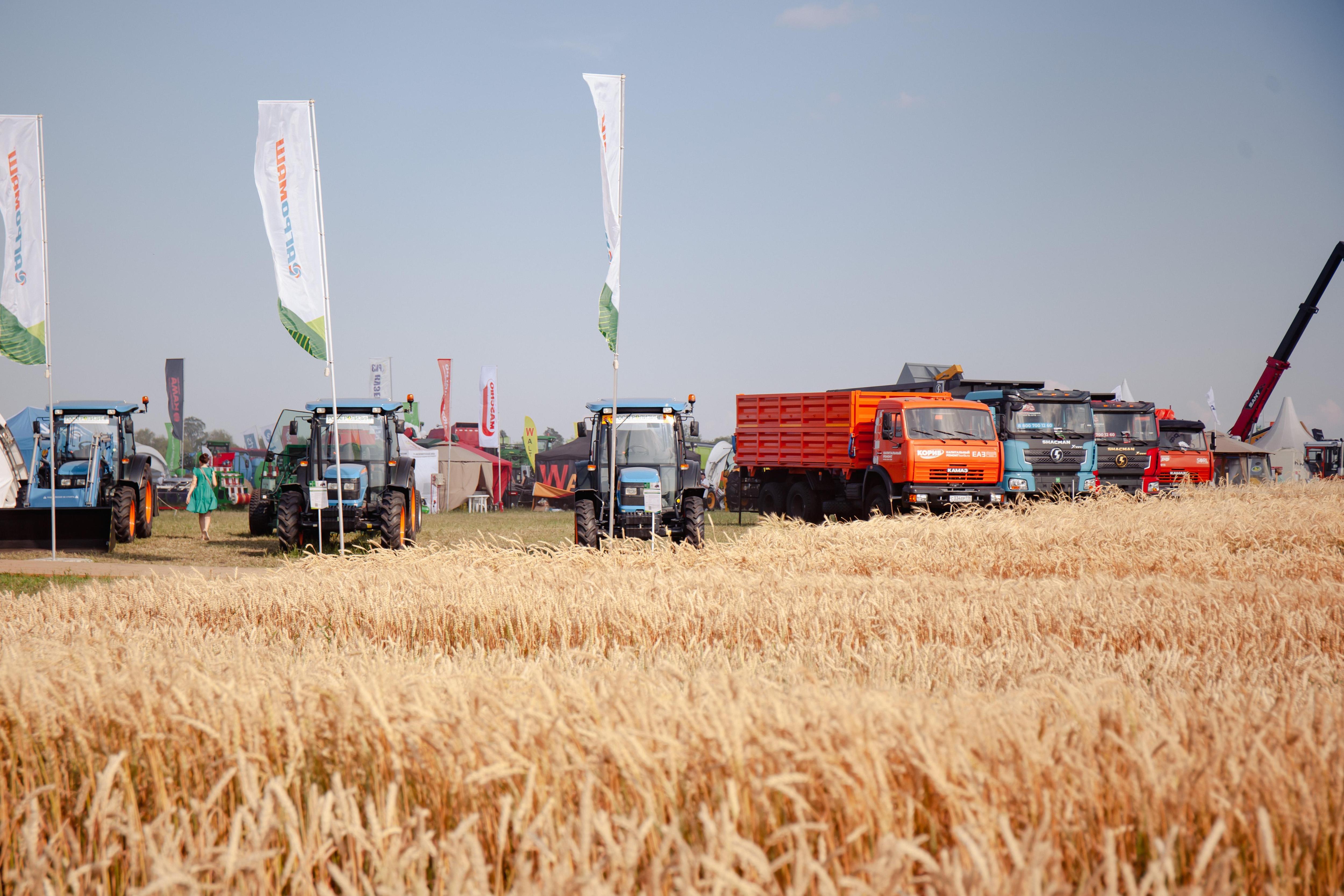 Российские аграрии столкнулись с дефицитом семян из-за сокращения импорта