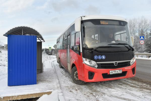 Пять автобусных маршрутов в Краснокамске изменили движение из-за провала на улице Чапаева