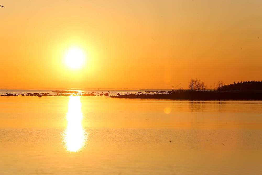 Катер с туристами перевернулся на Мальдивах: двое пропали, один лишился руки