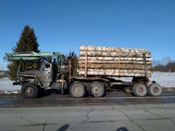 В Пермском крае началась операция «Лесовоз» по борьбе с нелегальной древесиной