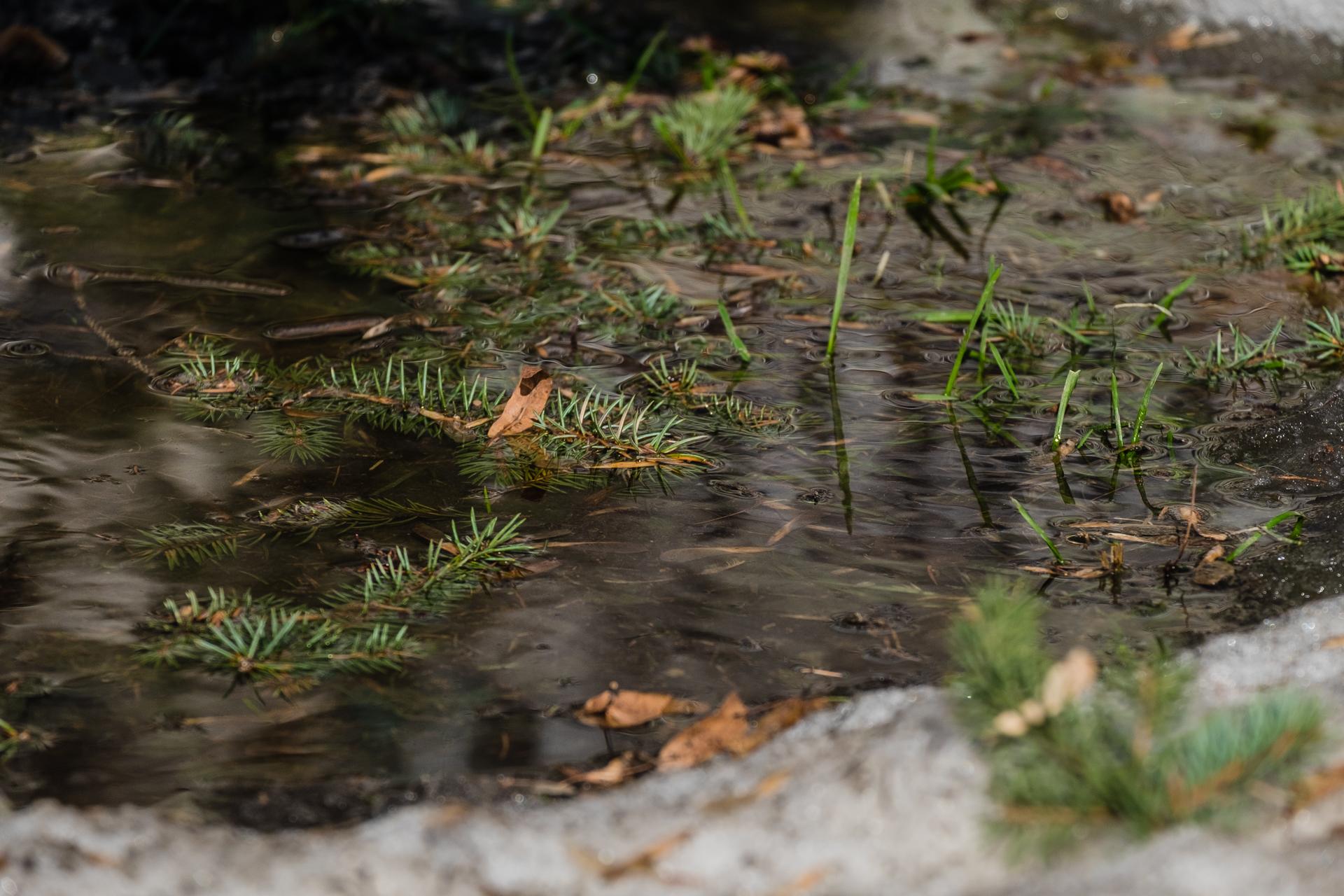 Март в Перми побил температурные рекорды апреля