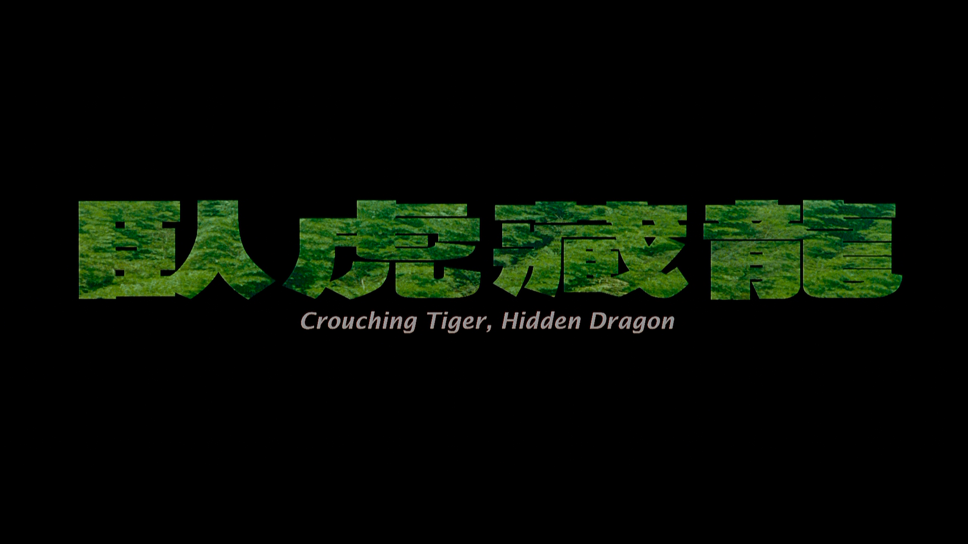 Crouching.Tiger,Hidden.Dragon.2000.Sony.Pictures.BDRemux.1080p.mkv_20260405_104841.182.png