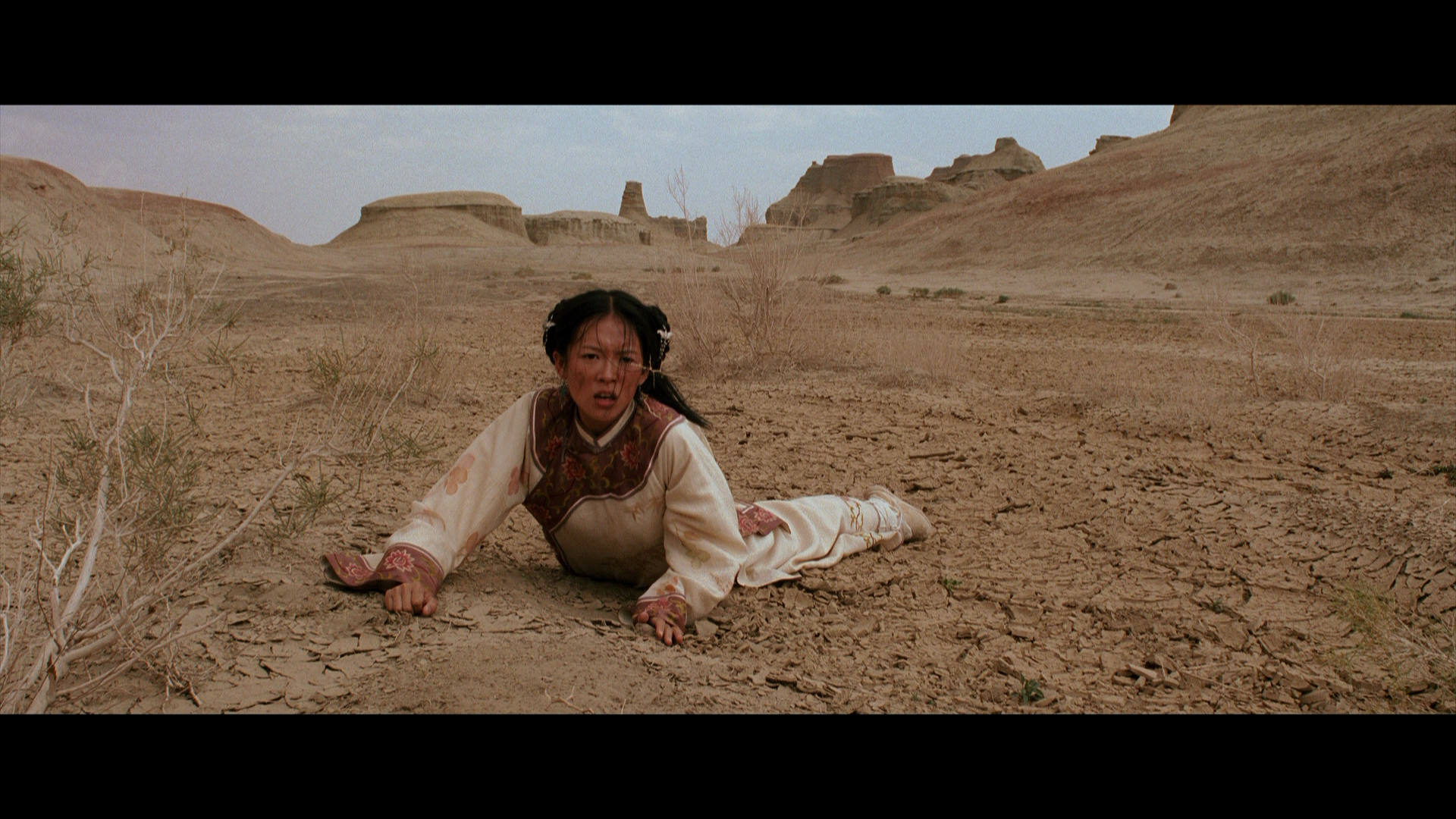 Crouching.Tiger,Hidden.Dragon.2000.Sony.Pictures.BDRemux.1080p.mkv_20260405_104909.204.png
