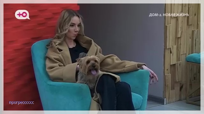 https://i4.imageban.ru/out/2026/04/11/86c322d92894b314b466e739fbc1503d.jpg