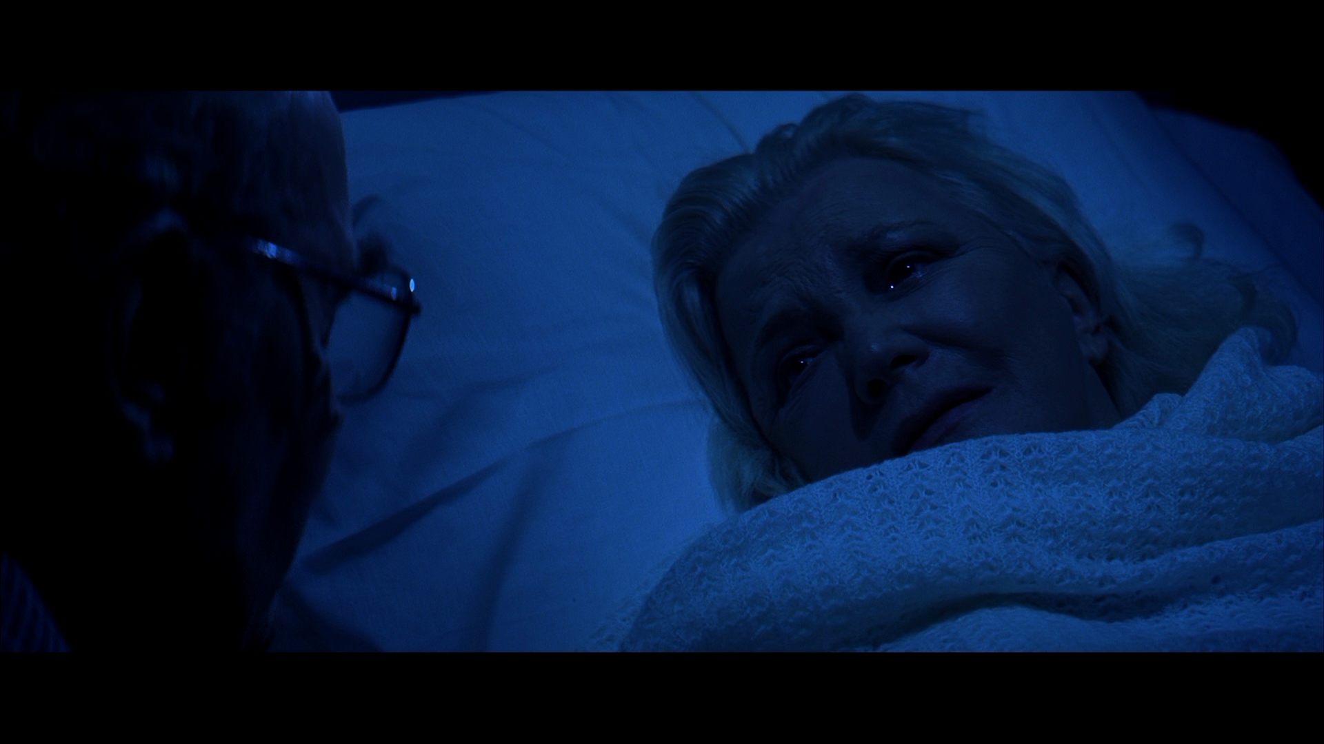The.Notebook.2004.Warner.Bros.BDRemux.1080p.mkv_20260419_122518.099.png