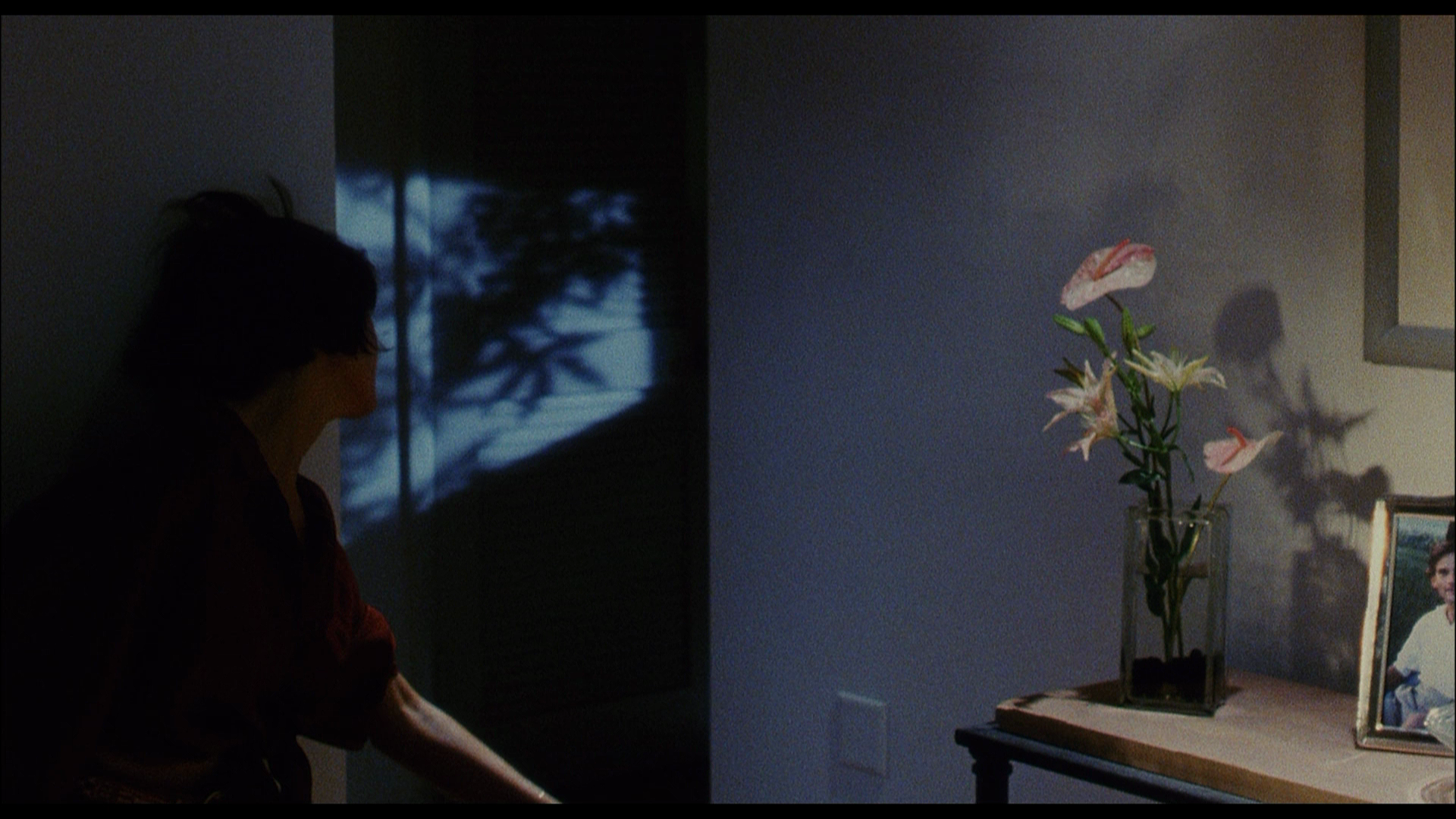 The.Guardian.1990.Koch.Media.BDRemux.1080p.mkv_20260419_100623.527.png