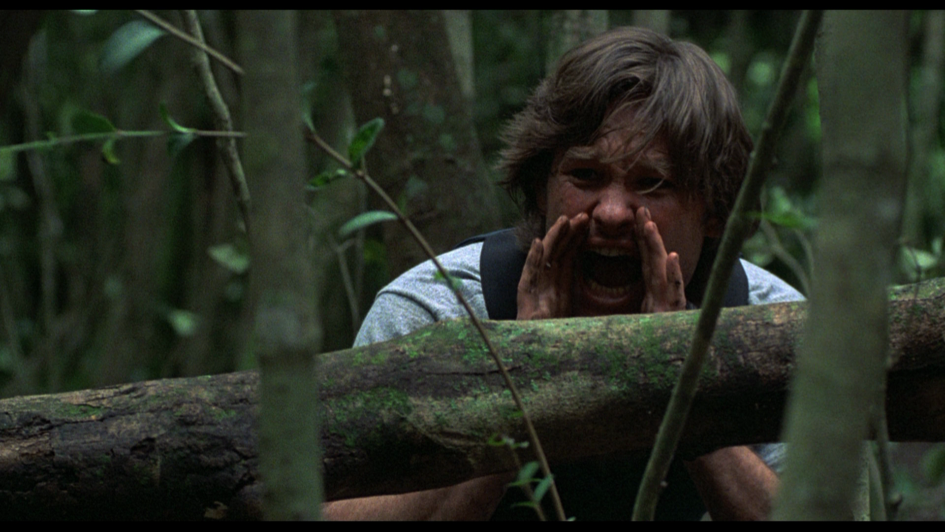 The.Mean.Season.1985.Koch.Media.BDRemux.1080p.mkv_20260419_114944.400.png