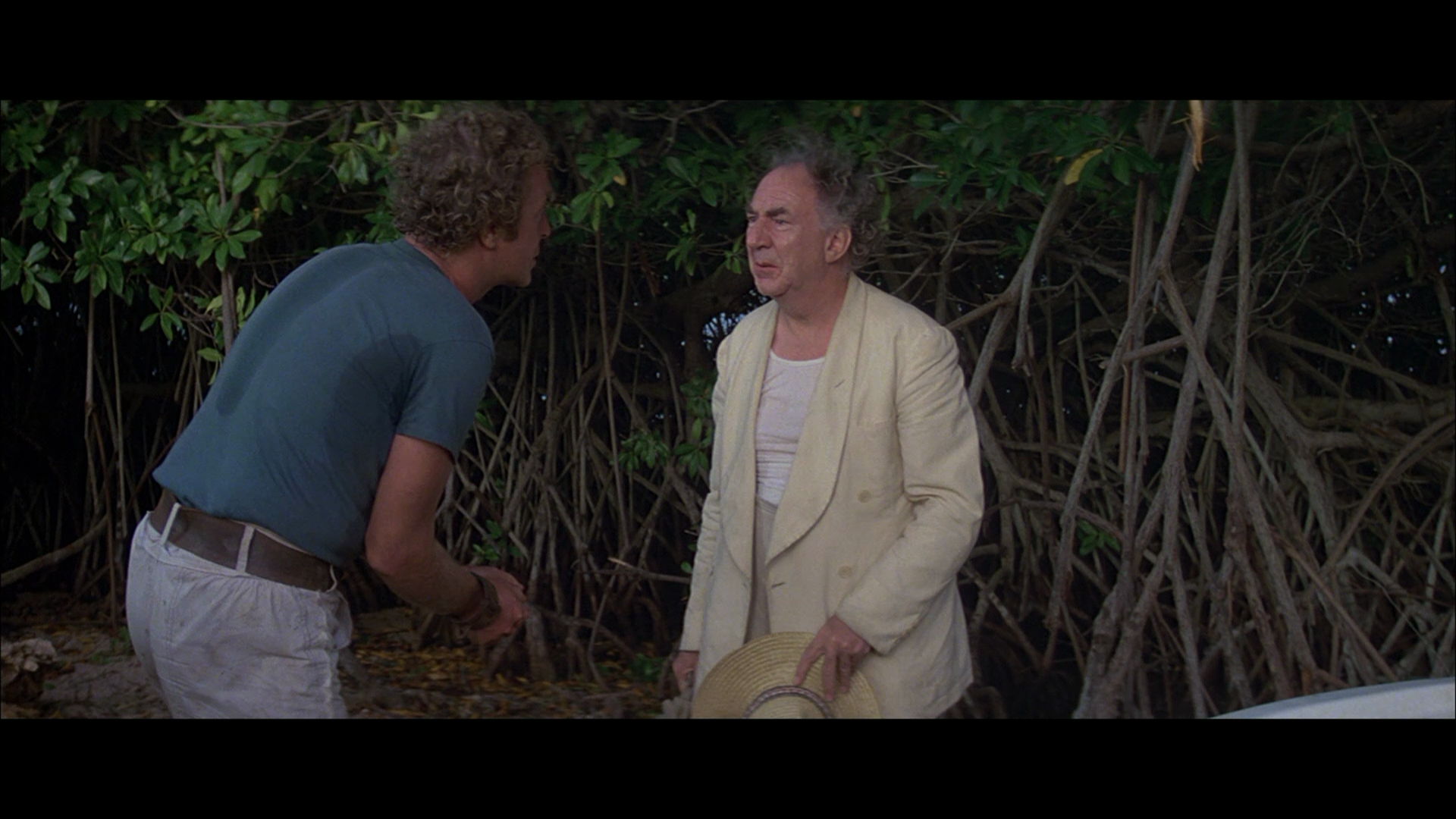 The.Island.1980.Shout.Factory.BDRemux.1080p.mkv_20260419_102441.967.png