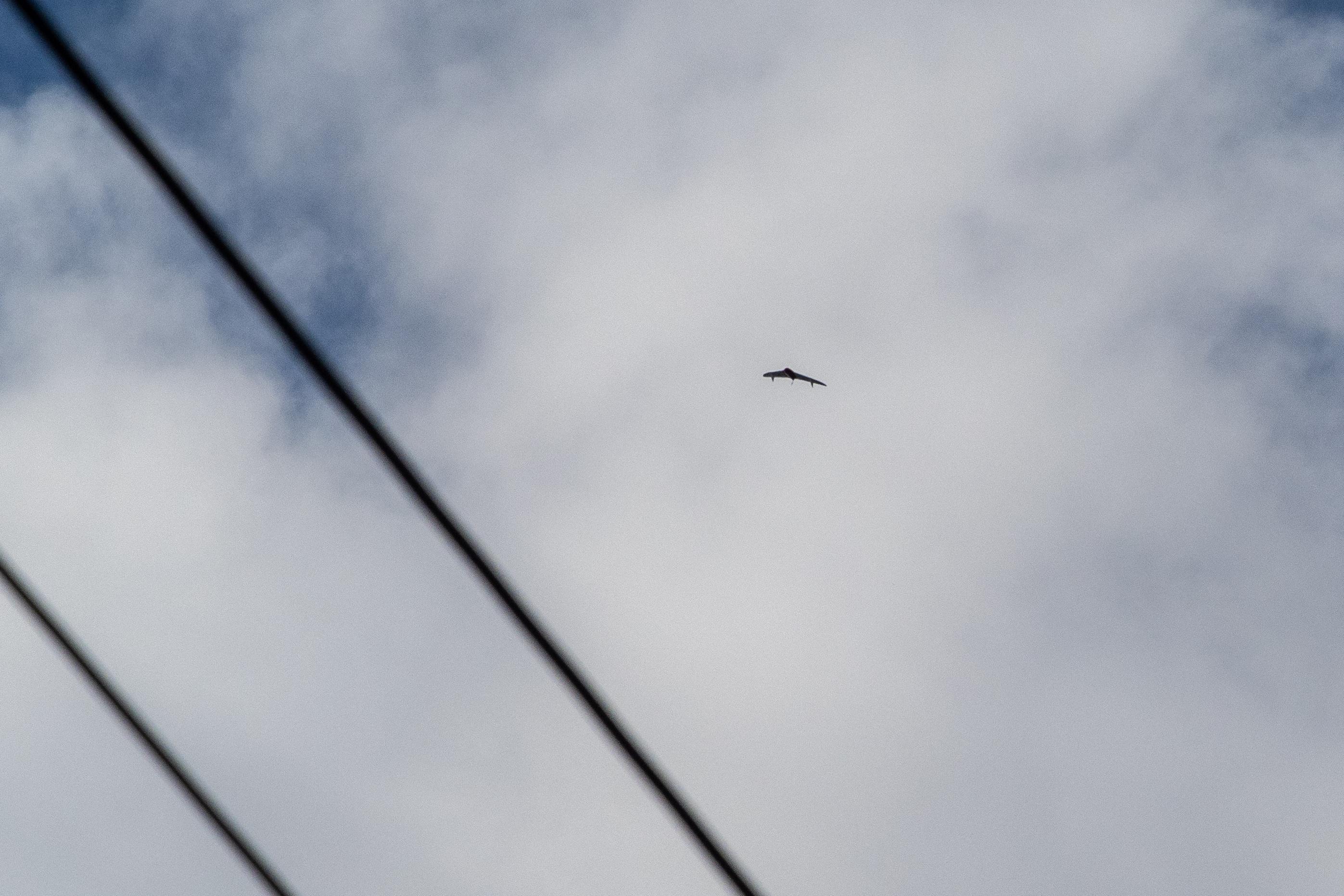 Ночная атака дронов: 12 регионов пострадали, в Самаре обрушился подъезд