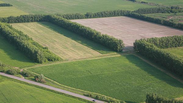 В бюджет Перми поступило 907 млн рублей от использования земельных участков