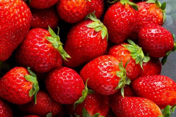 Первая партия клубники из Киргизии прибыла в Пермский край