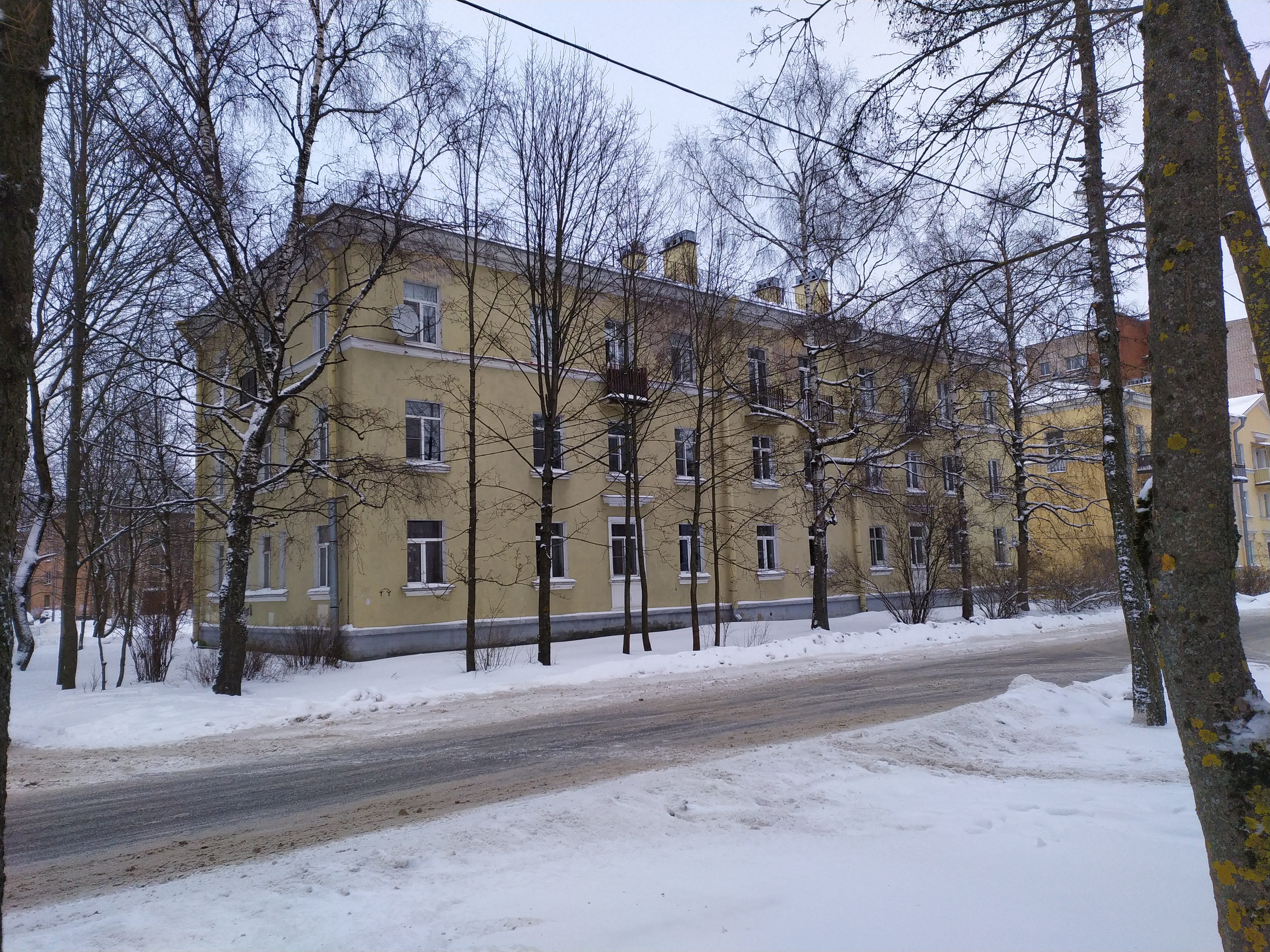Красное Село, Суворова 11.JPG