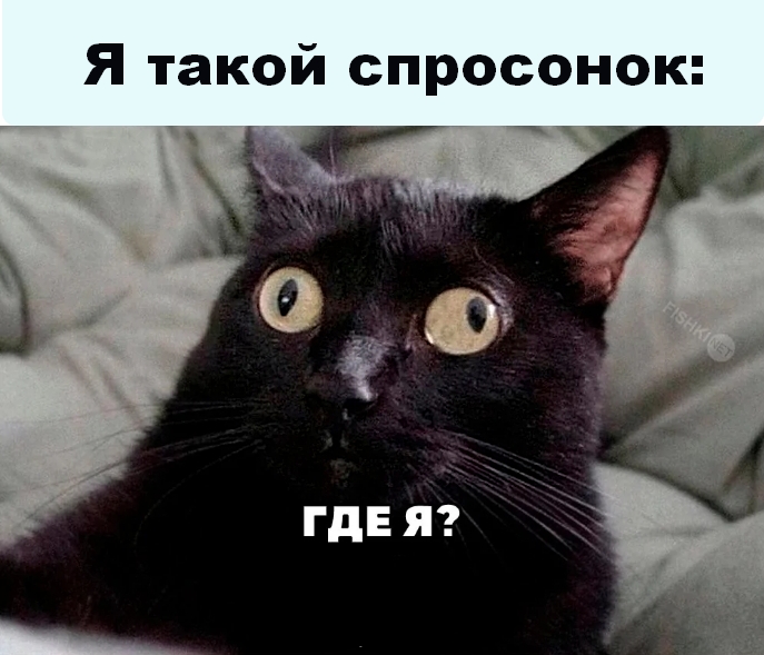 Скриншот 09-03-2026 223018.jpg