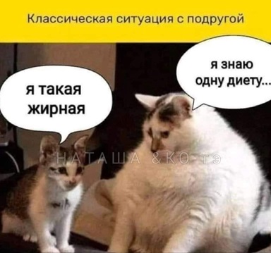 https://i4.imageban.ru/out/2026/05/01/0fd615980c661746d201eab782276c09.jpg
