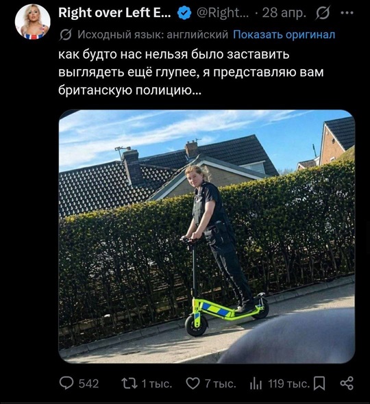https://i4.imageban.ru/out/2026/05/01/136ed2c4e0eae29428b32058261b4960.jpg