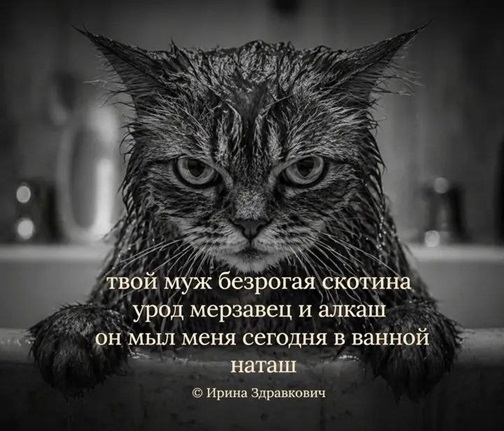 https://i4.imageban.ru/out/2026/05/01/5e2b3d0e25c9fa2984f46c11ce626f11.jpg