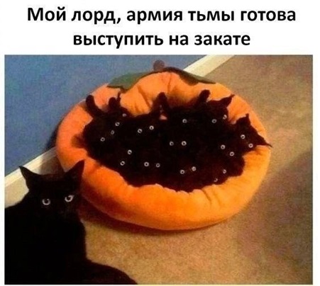 https://i4.imageban.ru/out/2026/05/01/8de5585a9e2647eae0c236b97936d244.jpg
