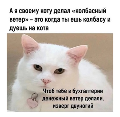 https://i4.imageban.ru/out/2026/05/01/8eff1ed0eee74201712395f454283e53.jpg