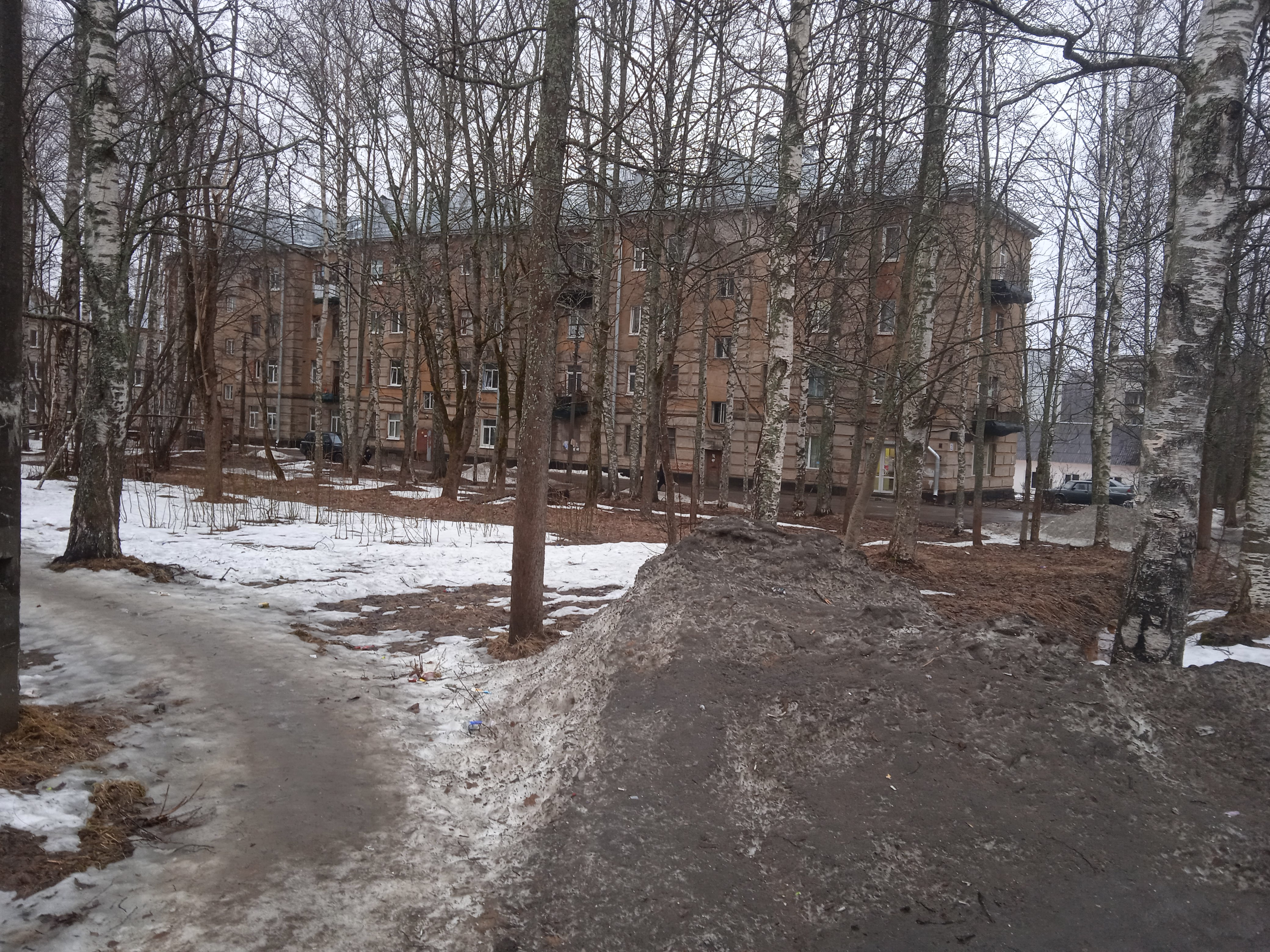 Осельки, 2.JPG
