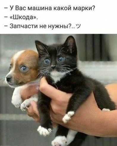 https://i4.imageban.ru/out/2026/05/09/2bf35a49857203fd0dd82ed051ca676e.jpg