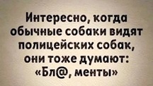 https://i4.imageban.ru/out/2026/05/09/f612cc320ab3a98cec99b7c930dcba96.jpg