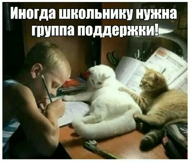 https://i4.imageban.ru/out/2026/05/14/cb5ac4bd7871cb9ab0f7d2df314a6291.webp