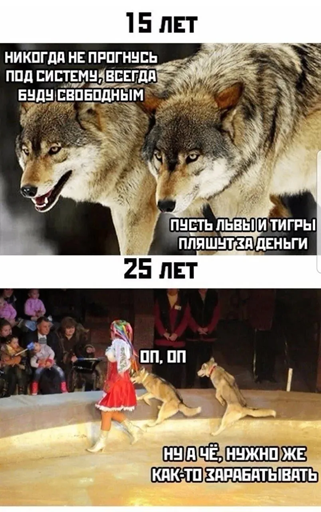 https://i4.imageban.ru/out/2026/05/17/69841860abaa2c3c197d55994e909c9b.png