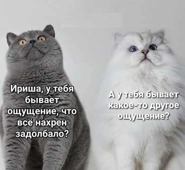 https://i4.imageban.ru/out/2026/05/17/a7816884df5611fe18ce04d916edb343.jpg