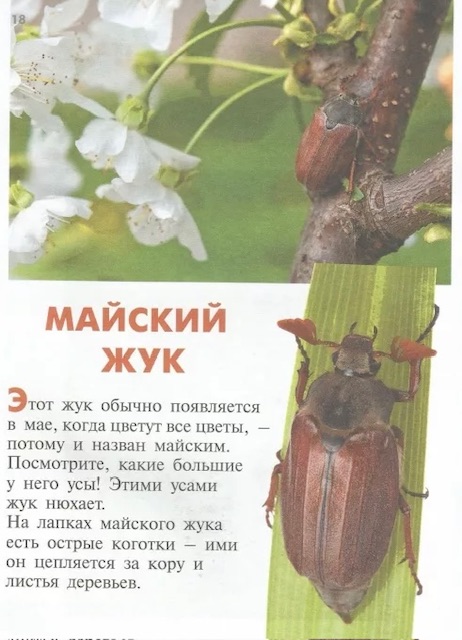 https://i4.imageban.ru/out/2026/05/18/7e79a709a7bdd25d28d5c66a6de62cfe.jpeg