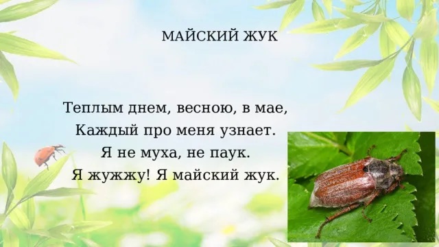 https://i4.imageban.ru/out/2026/05/18/d5fbe1e709aaaaa00cd88e75b3f11a77.jpeg