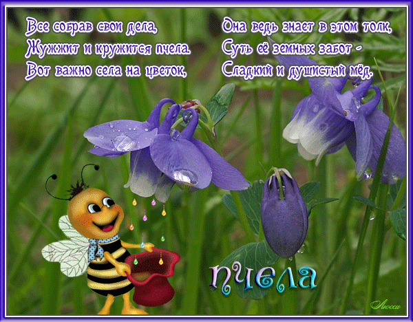 https://i4.imageban.ru/out/2026/05/20/0eec782fff84d8c96b34e3f2a1964a25.gif
