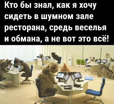 https://i4.imageban.ru/out/2026/05/22/76f64aa693a9c152cad4c33572e08d7d.png