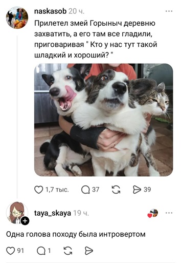 https://i4.imageban.ru/out/2026/05/23/921e3f09c5c8f494cab979fcde85a0c6.jpg