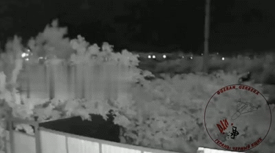 https://i4.imageban.ru/out/2026/05/24/e0fa1ff82d8a846ef2205965488695c0.gif