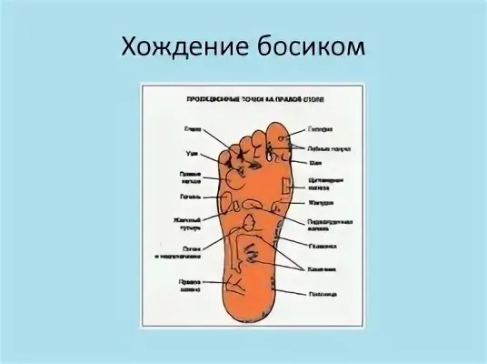 https://i4.imageban.ru/out/2026/05/26/9d2745b26da79c46da59de02d43c05bf.jpeg