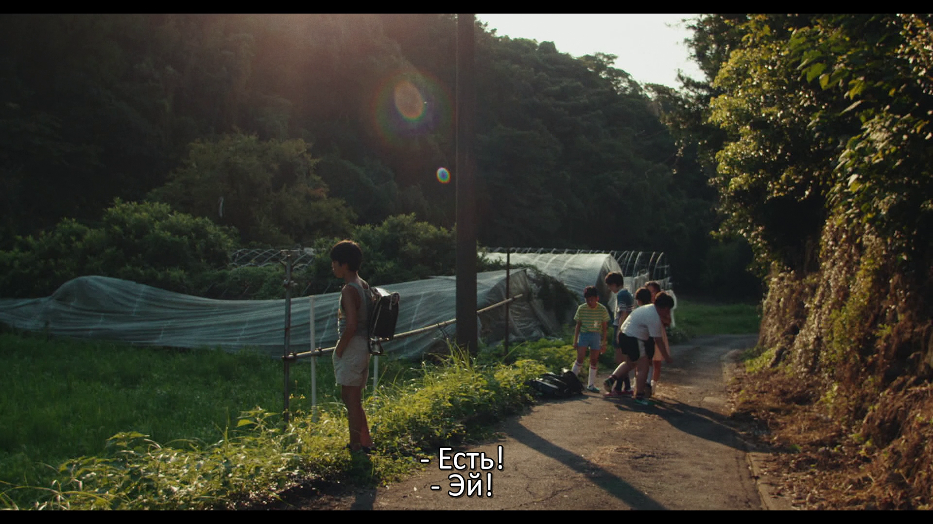 vlcsnap-2026-05-28-10h10m34s052.png