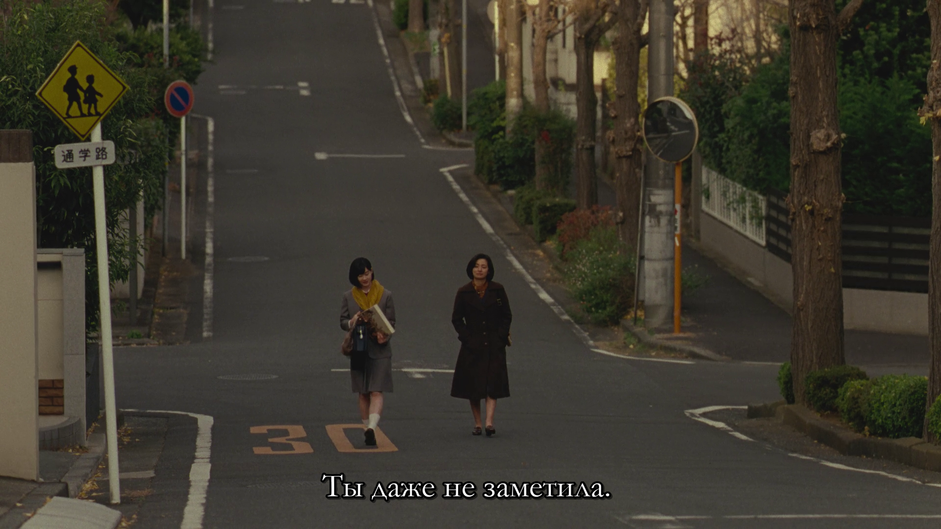 vlcsnap-2026-05-30-21h26m43s001.png