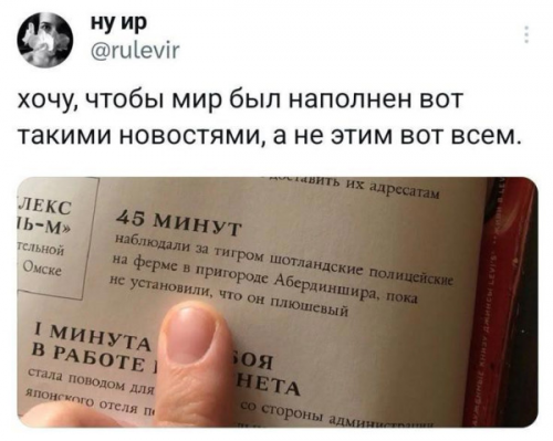 https://i4.imageban.ru/out/2026/05/31/d90e7f884031a6ffec3e3a30eac06e7b.png
