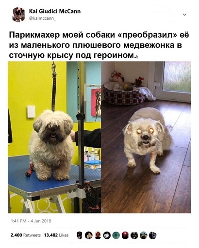 https://i4.imageban.ru/out/2026/06/02/cf53fa4815e4e35360edfc0a188b65ef.jpg