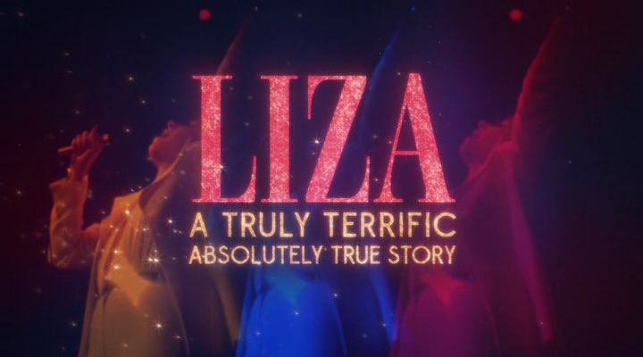 Liza.Truly.Terrific.Absolutely.True.Story.2024.BDRip-ylnian.avi_snapshot_00.00.00.411.png