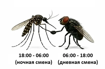 https://i4.imageban.ru/out/2026/06/06/ebda7b9d872eec72393524eb95462c8b.png