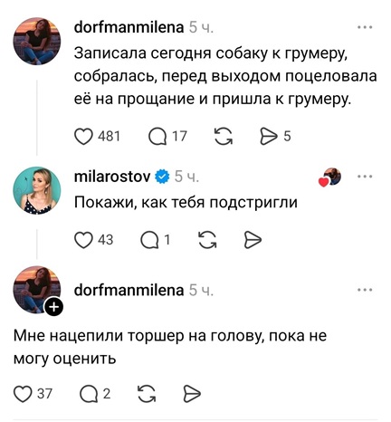 https://i4.imageban.ru/out/2026/06/07/41d3a6f8c07ed2fc1871ecf83d86b81f.jpg
