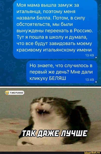 https://i4.imageban.ru/out/2026/06/12/ba4aa6e95b4d40fae6d10022ebd41881.jpg