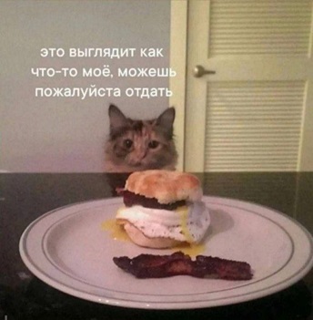 https://i4.imageban.ru/out/2026/06/13/57ef8a1f3a26050835fbbd7b25217c72.jpg