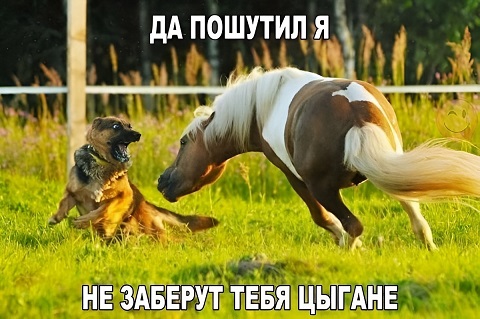 https://i4.imageban.ru/out/2026/06/17/3a4f615065d07cbd54cbf55c6e2dfcc4.jpg