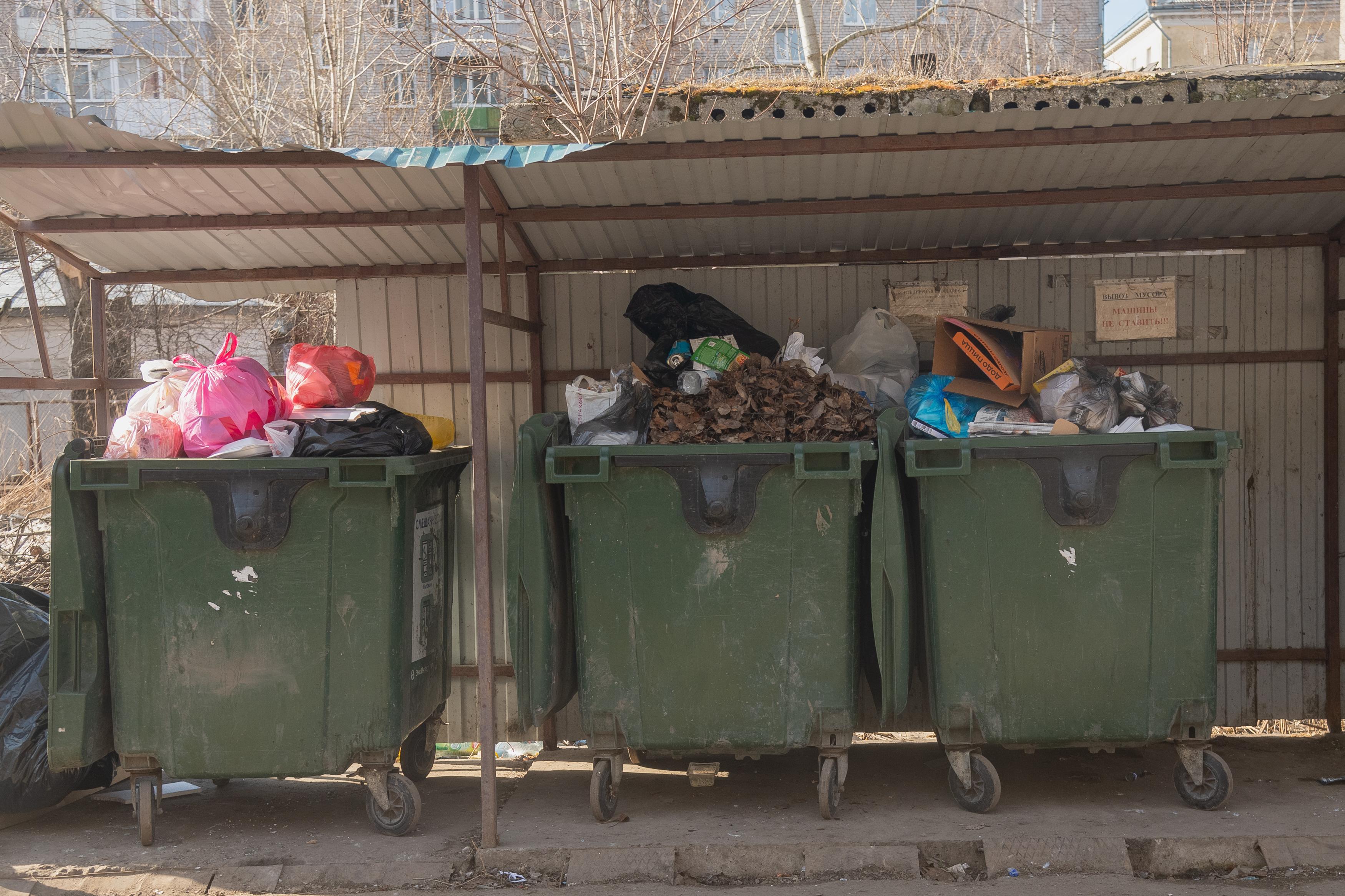 В Ростовской области найдено тело новорожденного в мусорном баке