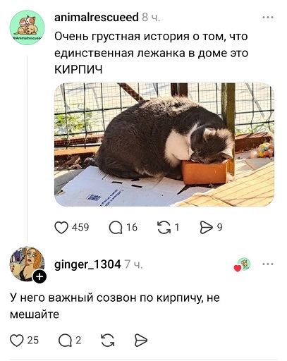 https://i4.imageban.ru/out/2026/06/19/0db6b7829fc4b9519a588661a94bac4e.jpg