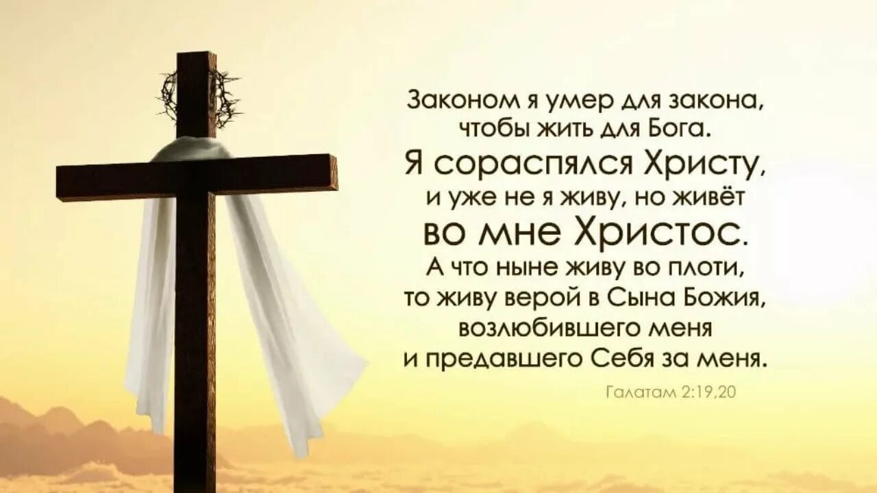 iseHGhgKsM-5IBZ8y1Xwc3hmg_5A5mFCZWVm6hdB5YjkVVp_DhTfg7zSBcJFqQI4gCv0Pt7pHvEHVIw4DLQNti_zoj4NnsUrySBHOHvxMdO5Z9c_lNfAZ-WmBV3QNpYvMmKdiKywX8Y8t8FzpM0E_lErQamt7viDRVLKXG3m6zMIR3e5KmrDy-nQ9FqY93Pwa2aUXwOG.jpg